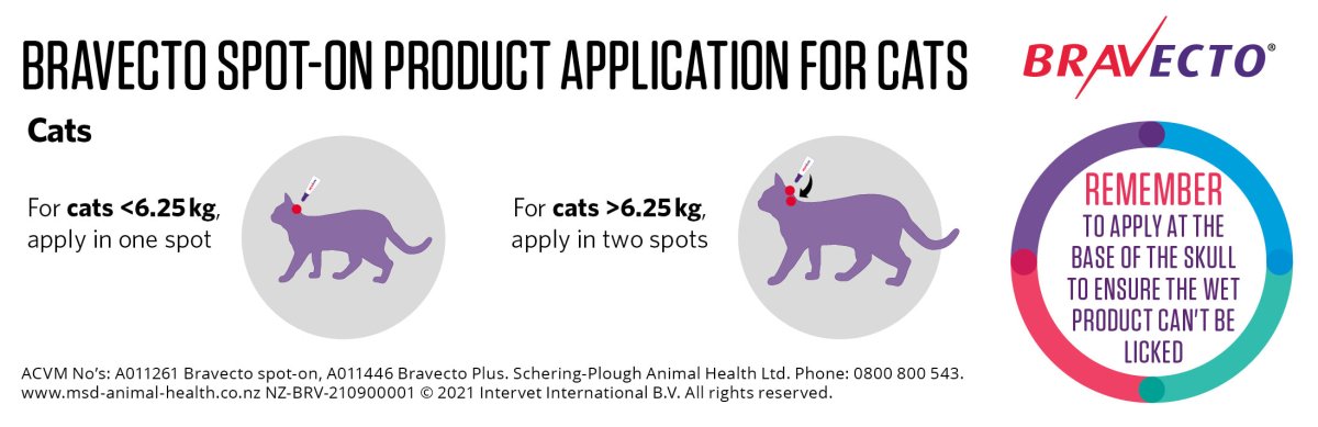 Bravecto Plus Flea & Worm for Cats - Pet Supply